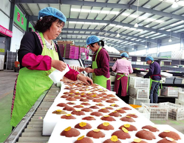 宝鸡市果品市场火热 猕猴桃销售近40万吨 -市贸-中国食品安全网